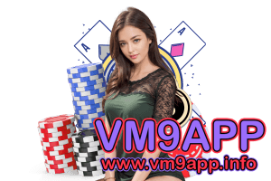 vm9 สล็อต