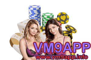 vm9app ทางเข้า